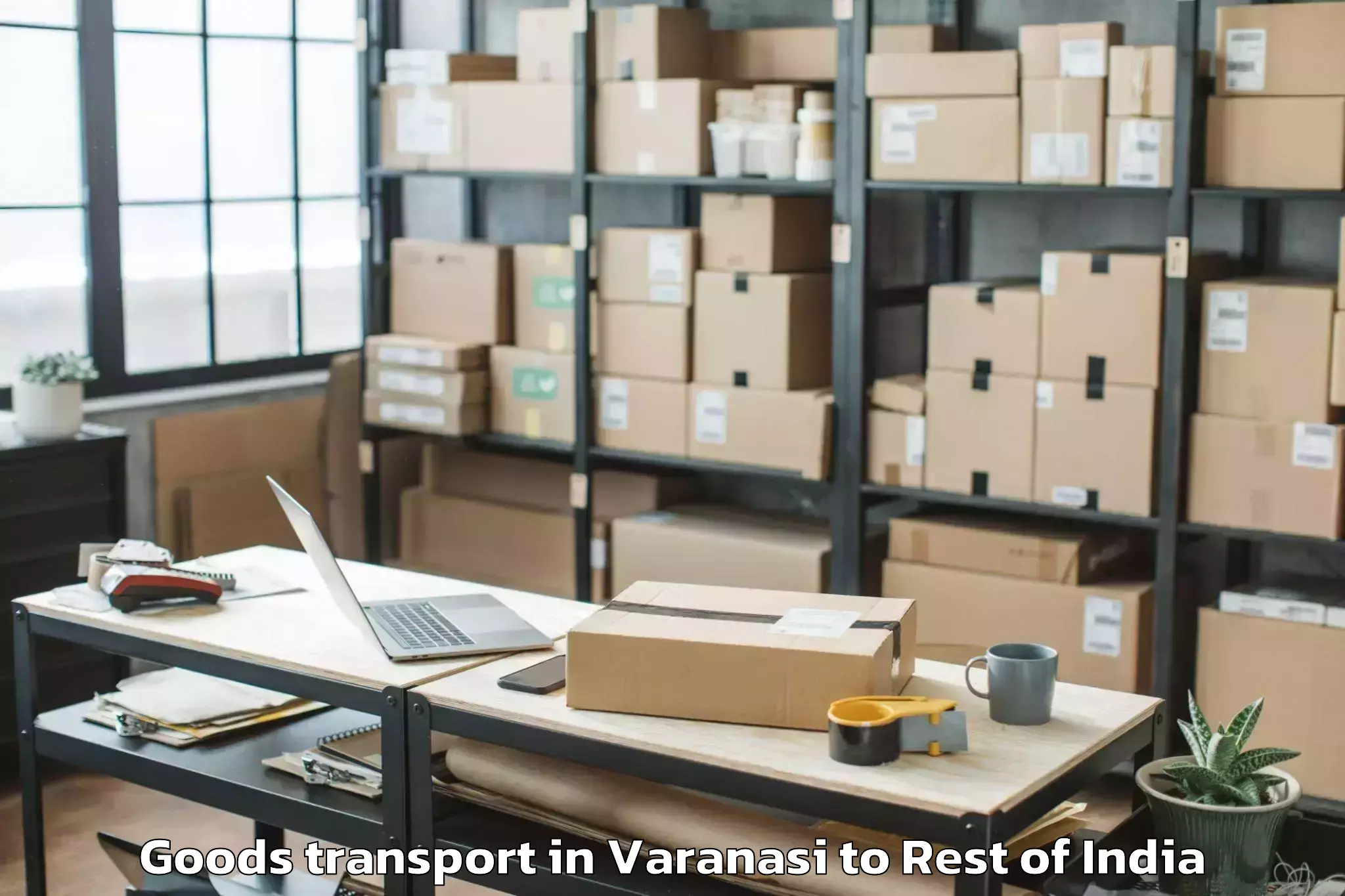 Professional Varanasi to Nelakondapally Goods Transport